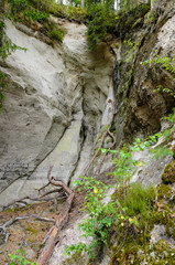 The white sandstone outcrops. Sietiniezis Rock, Latvia. - 193005968