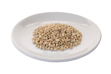 pearls barley grain seed on background