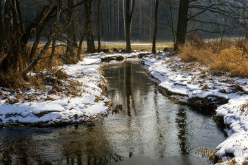 Dolina Górnej Narwi © podlaski49