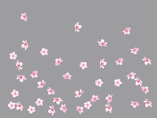 Flying Pink Cherry Blossom, Realistic Vector Background. Beautiful Sakura Soft Romantic Illustration. Wedding Decoration, Flying Pink Cherry Blossom, Love Magic Design. Cool Showering Blooming Sakura