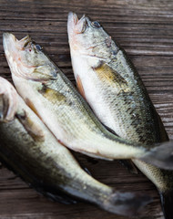 Southern Largemouth Bass on a cuttingboard