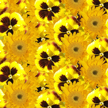 Beautiful floral background of sunflowers and pansies 