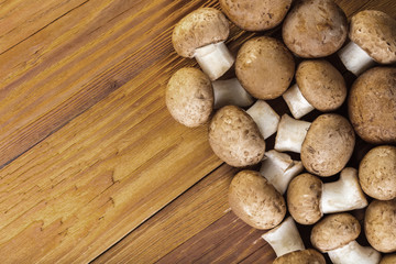 raw mushrooms champignons closeup
