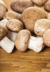 raw mushrooms champignons closeup