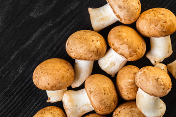 raw mushrooms champignons