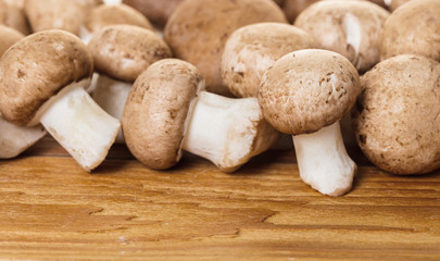 raw mushrooms champignons closeup