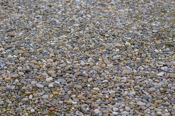 Coarse gravel walkway or path