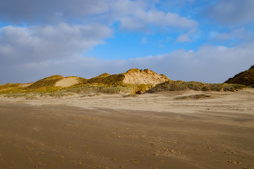 Fototapeta na wymiar Dünen am Strand von Egmont aan Zee/NL