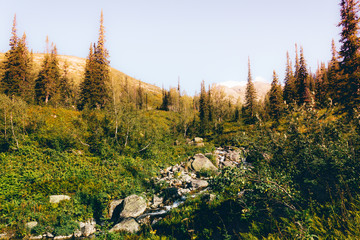 Rapid mountain river among the rocks