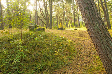 Bunker of ww2 in Poland