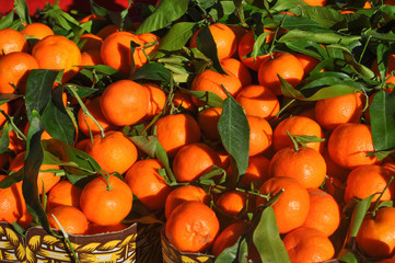 tangerine fruit food