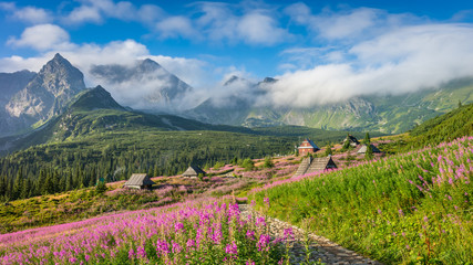 Naklejka na ściany i meble Tatra mountains landscape