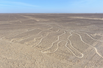 Nazca Lines (The Tree) seen from observation deck, Peru
