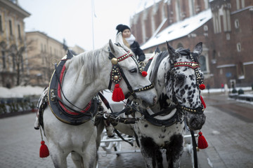 Naklejka na ściany i meble Horse-Drawn Carriage Parked In The Main Market Square;