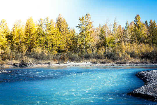 Blue river in the autumn forest on a Sunny day. Autumn day trip in the mountains.