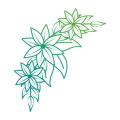 beautiful floral decoration frame vector illustration design