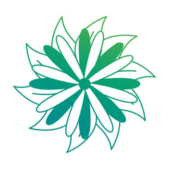 beautiful flower garden icon vector illustration design