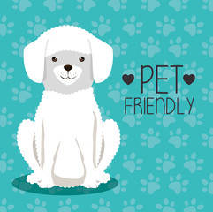 dog bred pet friendly vector illustration design