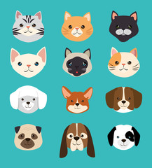 Obraz na płótnie Canvas dogs and cats pets friendly vector illustration design