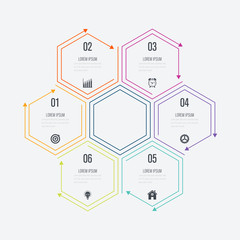 Vector illustration infographics six options