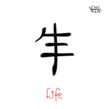 Hieroglyph chinese calligraphy translate - life
