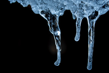 blue ice icicles on a black background
