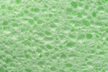 green colorful sponge texture