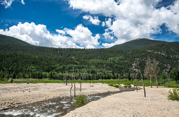 Fototapeta na wymiar Rocky Mountains Colorado. Wildlife USA