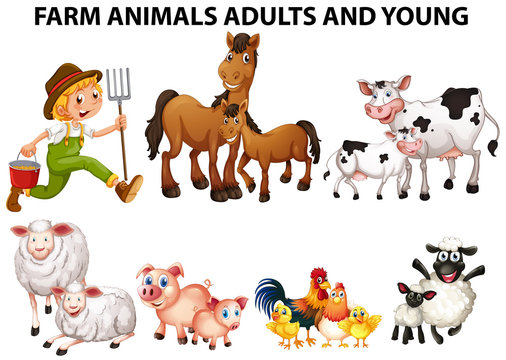 Different types of farm animals with adults and youngs