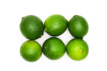 Limetten Sechserpack