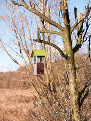 hanging close up wooden shed bird feeder on tree spring