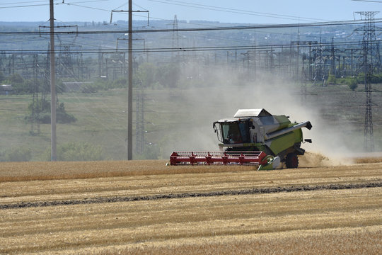 Special technique, combine harvester, cuts unripened wheat in the field