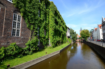 Old house with ivy over the canal (Gdańsk in Poland)