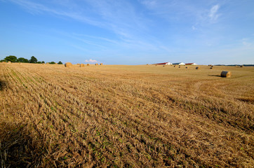 A field with straw bales © Artur Henryk