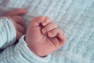 Newborn baby hands