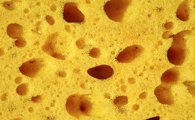 Sponge, porous material. Texture background