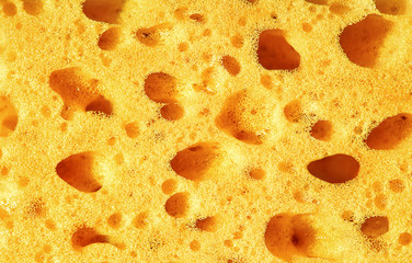 Sponge, porous material. Texture background