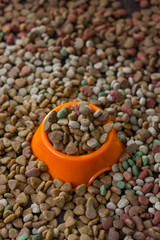 Orange plastic bowl filled with dry pet food surrounded by dry food for cat and dogs.