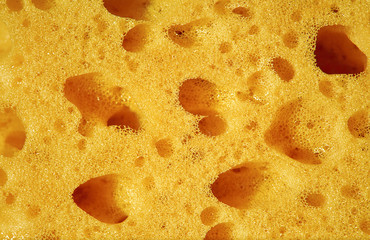 Sponge, porous material. Texture background