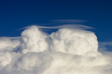 Pileus