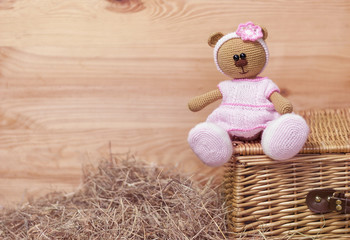 teddy bear on a wooden background