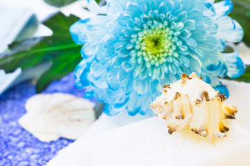Spa concept with a blue flower