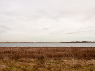 open sea coast plain with grass in front horizon overcast clear calm