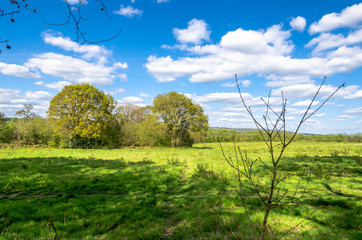 An agricultural field in springtime at Sevenoaks in Kent, England