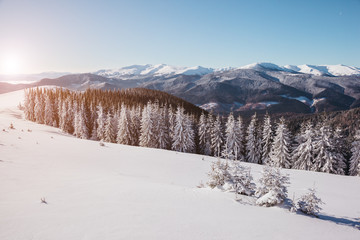 Fototapeta na wymiar beautiful winter landscape