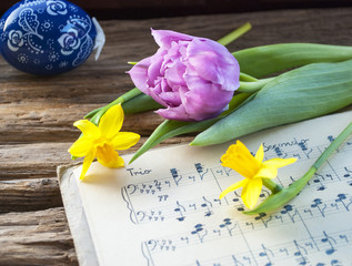 Alte handgeschriebene Musiknoten mit bemaltem Osterei, lila Tulpe und Narzissen, Narcissus pseudonarcissus, Frühling, Ostern 