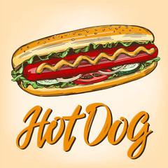 hot dog fast food,hand drawn vector illustration color realistic sketch, retro style