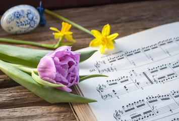 Alte handgeschriebene Musiknoten mit bemaltem Osterei, lila Tulpe und Narzissen, Narcissus pseudonarcissus, Frühling, Ostern  - 193033945