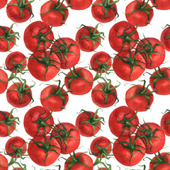 Botanical Illustration Italian Cuisine