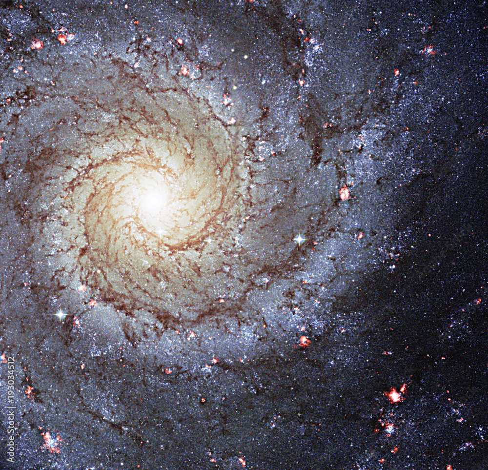 Canvas Prints space galaxy m74 elements of this image furnished by nasa. retouched image.